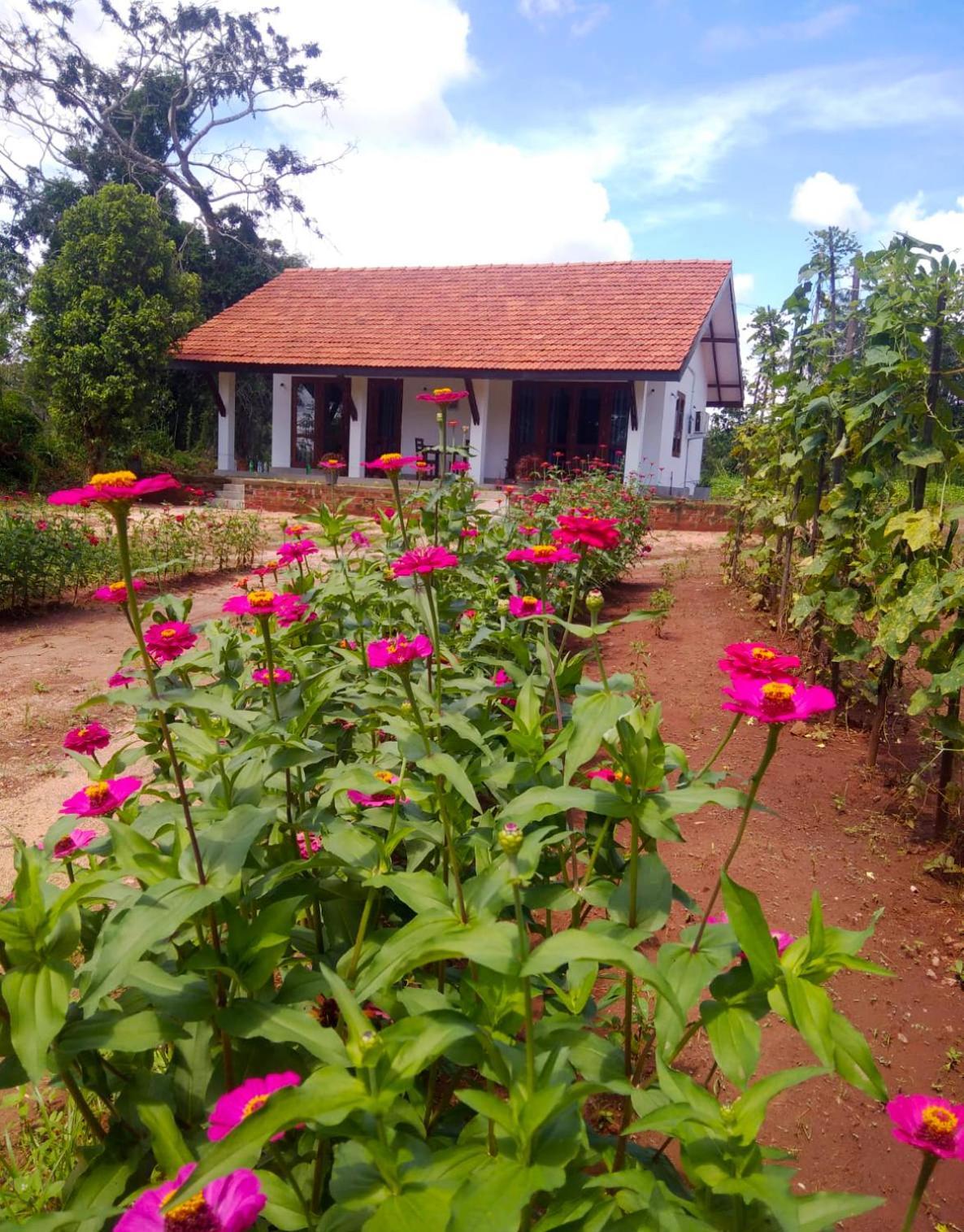 Moni Farm House Wilpattu Hotel Nochchiyagama Exterior photo