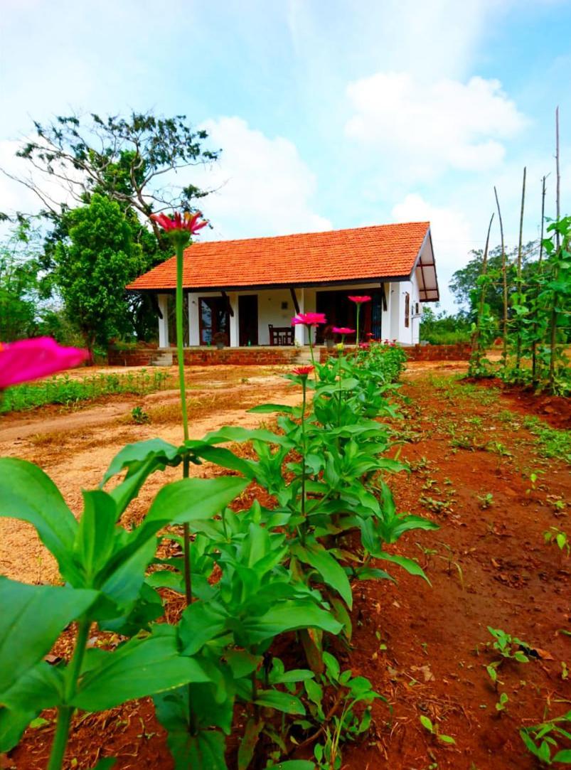 Moni Farm House Wilpattu Hotel Nochchiyagama Exterior photo