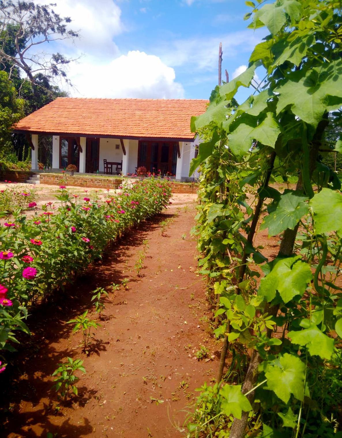 Moni Farm House Wilpattu Hotel Nochchiyagama Exterior photo