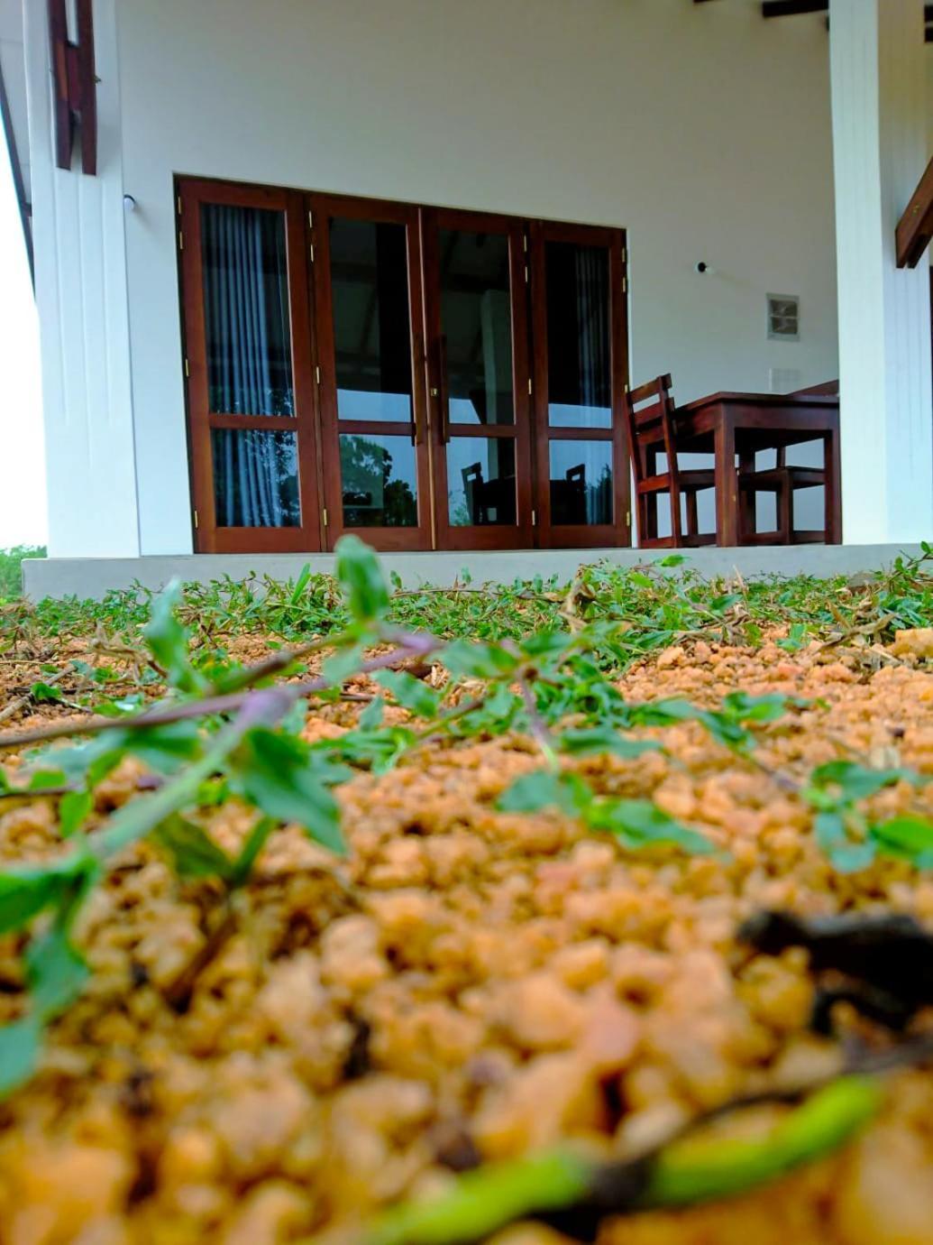 Moni Farm House Wilpattu Hotel Nochchiyagama Exterior photo